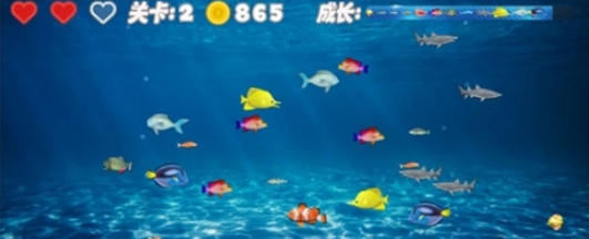 大鱼吃小鱼2016