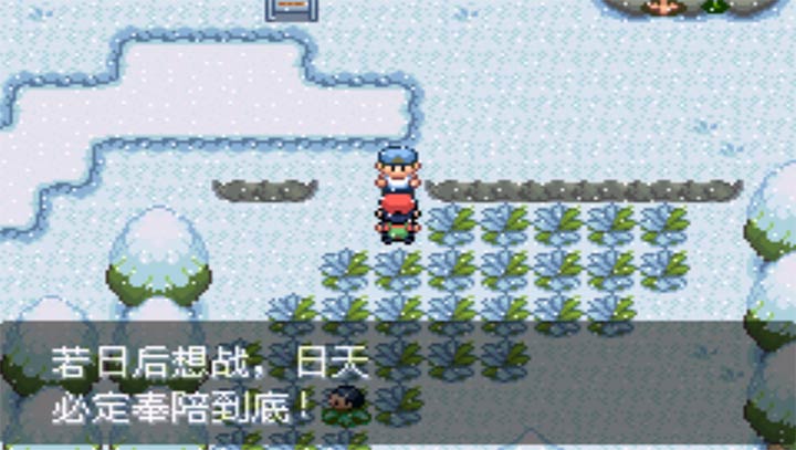 口袋妖怪最强进化v2.5中文版
