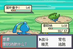 口袋妖怪永恒之沫对战版