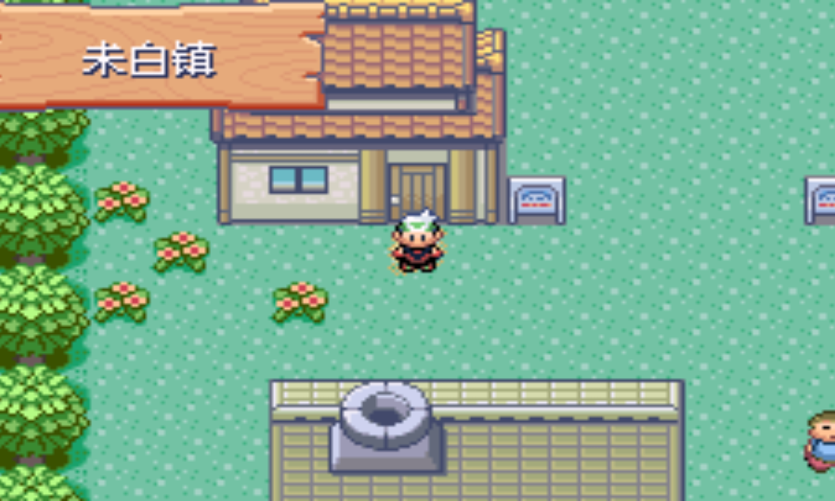 口袋妖怪绿宝石386重制汉化版