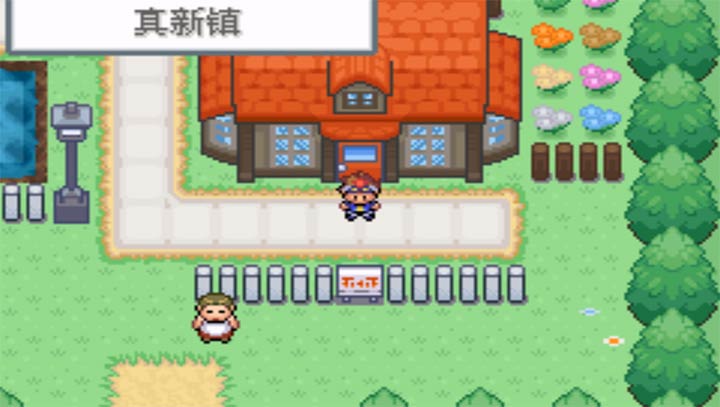 口袋妖怪 口袋暴龙