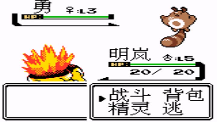 口袋妖怪 金
