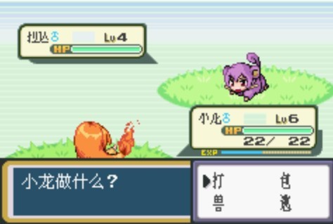 口袋妖怪口袋版