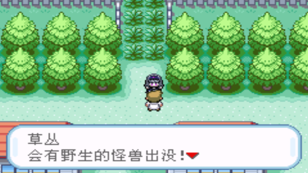 口袋妖怪口袋版