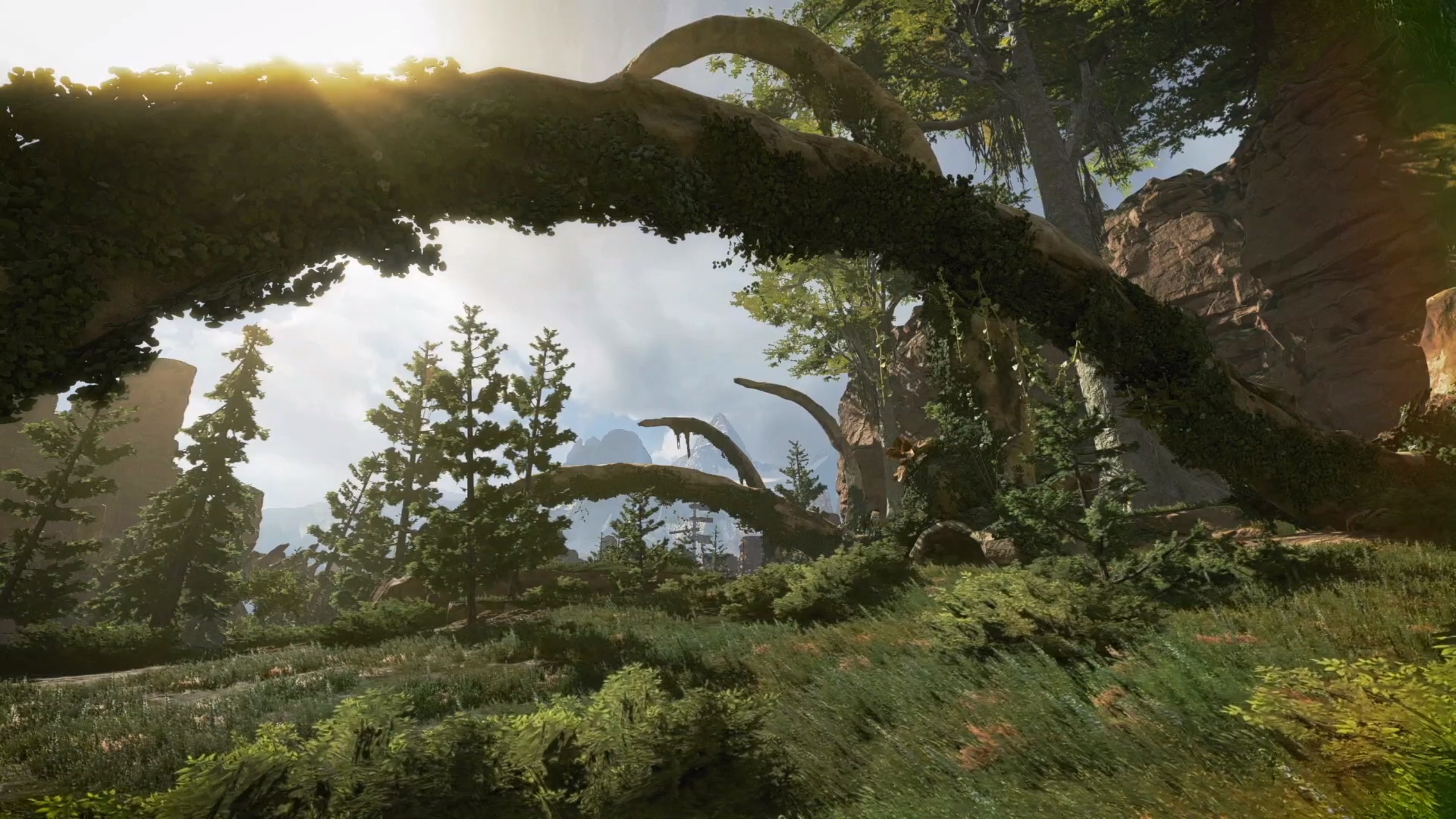 Apex英雄steam破解版