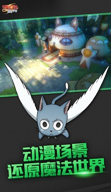 妖精的尾巴.魔道少年