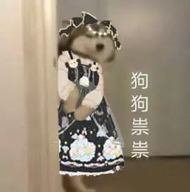 抖音狗狗祟祟带字表情包大全_抖音狗狗祟祟带字高清无水印表情分享