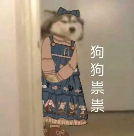 抖音狗狗祟祟带字表情包大全_抖音狗狗祟祟带字高清无水印表情分享