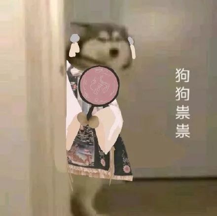 抖音狗狗祟祟带字表情包大全_抖音狗狗祟祟带字高清无水印表情分享