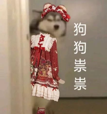抖音狗狗祟祟带字表情包大全_抖音狗狗祟祟带字高清无水印表情分享
