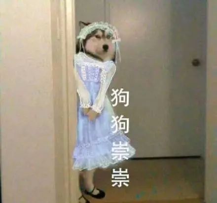 抖音狗狗祟祟带字表情包大全_抖音狗狗祟祟带字高清无水印表情分享