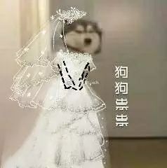 抖音狗狗祟祟带字表情包大全_抖音狗狗祟祟带字高清无水印表情分享