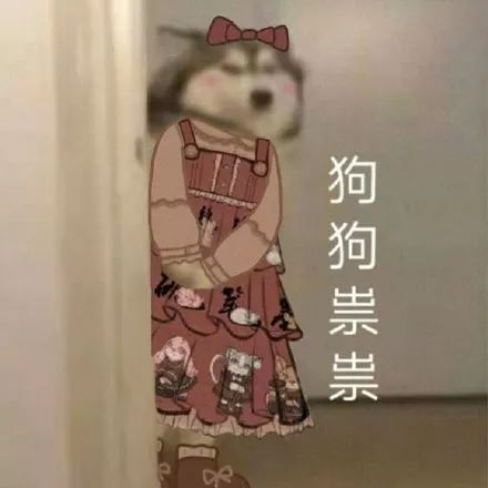抖音狗狗祟祟带字表情包大全_抖音狗狗祟祟带字高清无水印表情分享