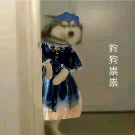抖音狗狗祟祟带字表情包大全_抖音狗狗祟祟带字高清无水印表情分享