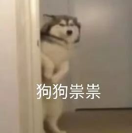 抖音狗狗祟祟带字高清无水印表情分享