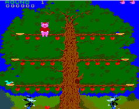 牛顿猪Pig Newton