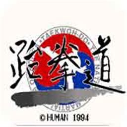 跆拳道联网PK版
