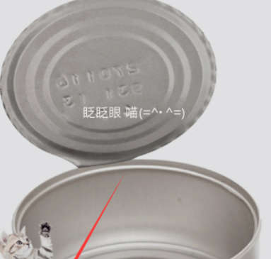 抖音猫罐头特效视频拍摄方法攻略
