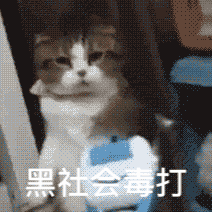 缺少社会的毒打系列恶搞表情图片分享