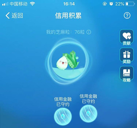 支付宝芝麻粒怎么收集