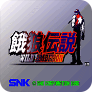 饿狼传说3D版