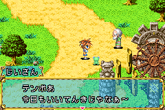 青蛙回家日版