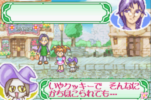 心跳系列经营花店日版