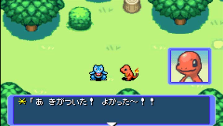 口袋妖怪赤之救助队日版