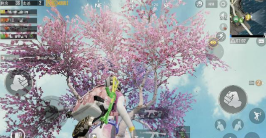 绝地求生樱花树位置一览