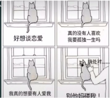 “抖音猫性人格”出处及含义详解