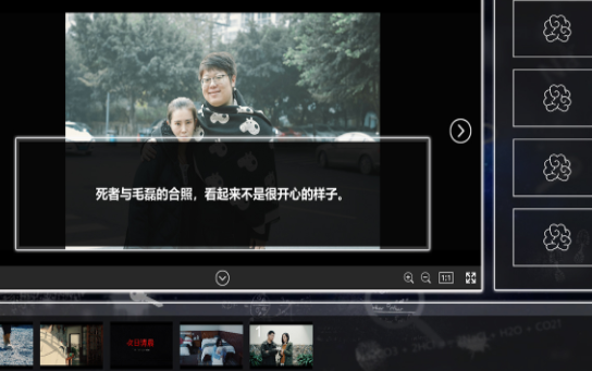 来访者2最新版