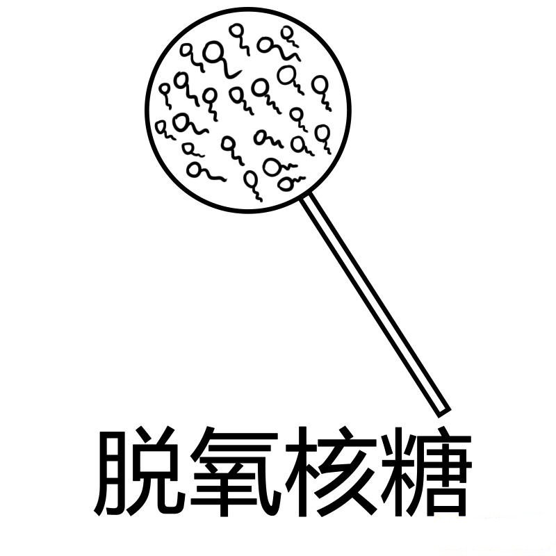 脱氧核糖含义出处一览