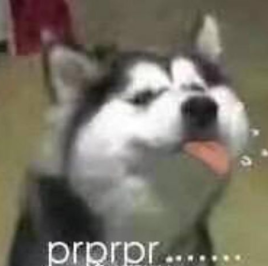 prprpr意思/来源/发展经过介绍