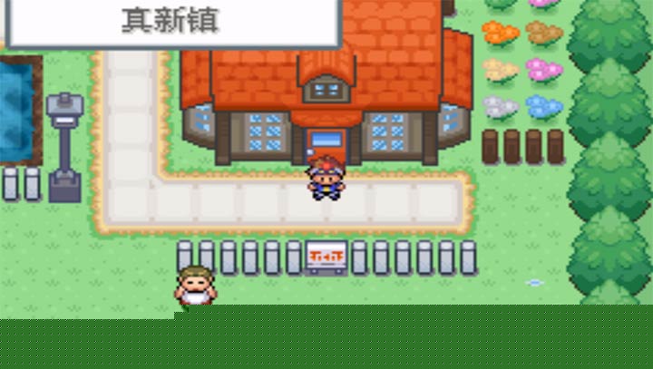 口袋妖怪口袋暴龙