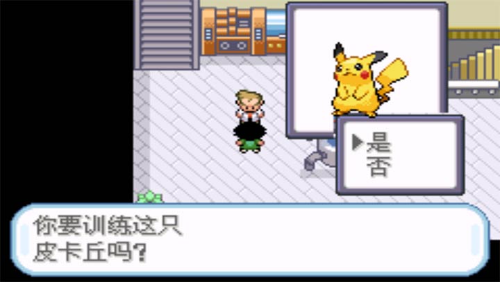 口袋妖怪圣灰汉化版