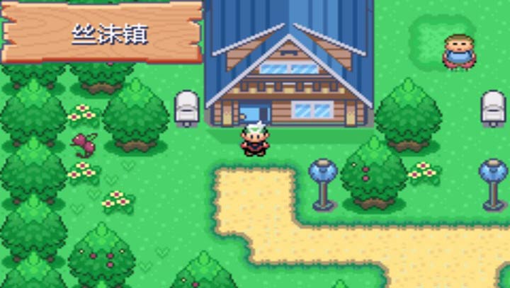 口袋妖怪空之花神标准版