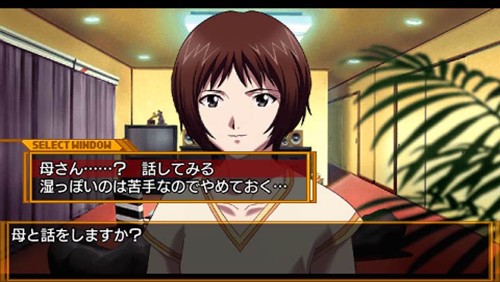 新世纪福音战士钢铁的女友2携带版