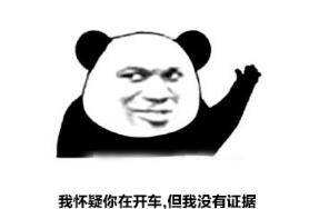 我怀疑你在开车但是我没有证据意思详解