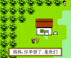 口袋宝石金无限道具版