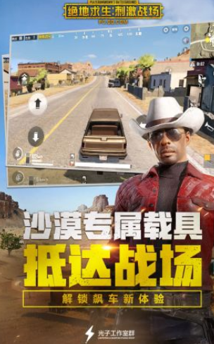 刺激战场国际服