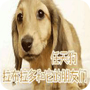 任天狗拉布拉多和它的朋友们安卓版