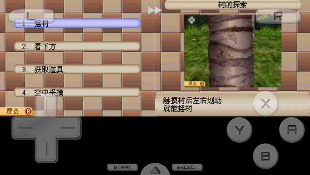 迷失蔚蓝3小岛中的大秘密