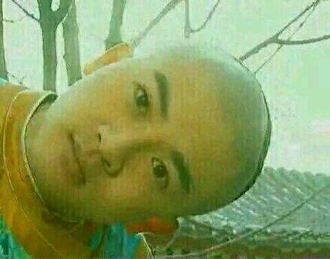 五阿哥这404盛世如你所愿意思/出处一览