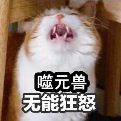 无能狂怒意思/出处介绍