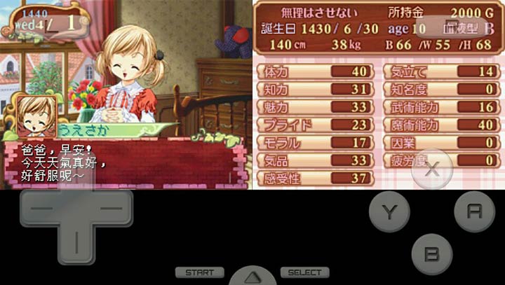 美少女梦工厂4DS特别版