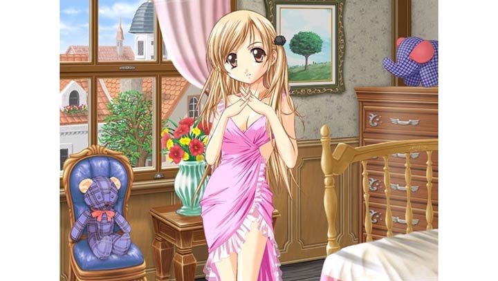 美少女梦工厂4DS特别版