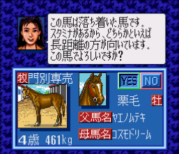 赛马大亨