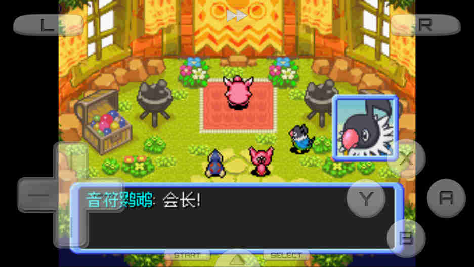 口袋