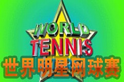 世界明星网球赛