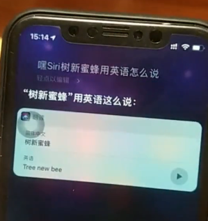 抖音树新蜜蜂英语一览